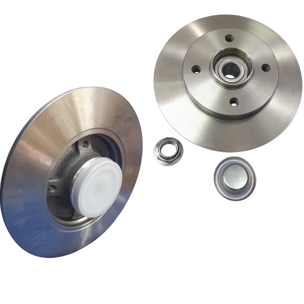 Brake Discs Rear with Bearing Peugeot 307 old models [LPR](made in Italy](C1005PCA)