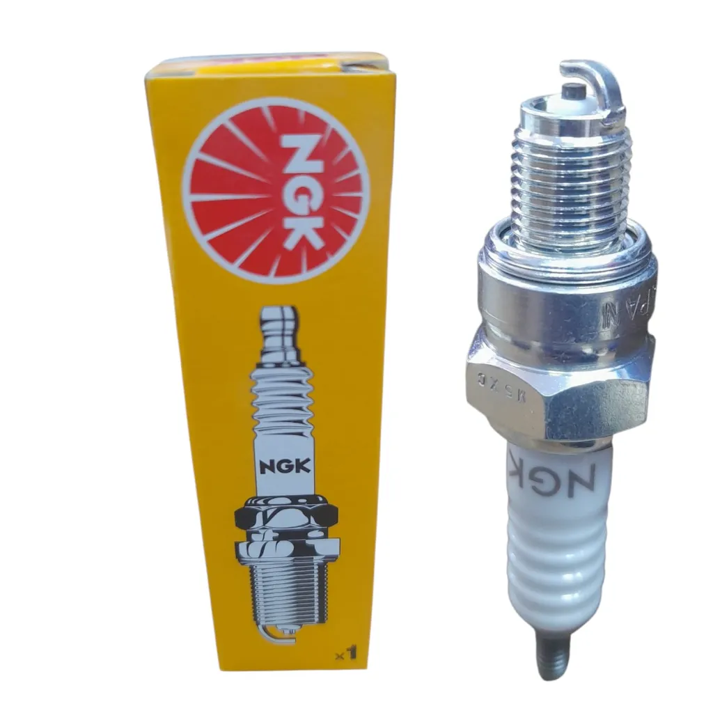 بوجيه Boxer [NGK] (صنع في اليابان) (C7HSA) (4629)