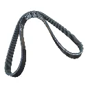 Belt 7PK1051EE [Dayco](made in Italy)