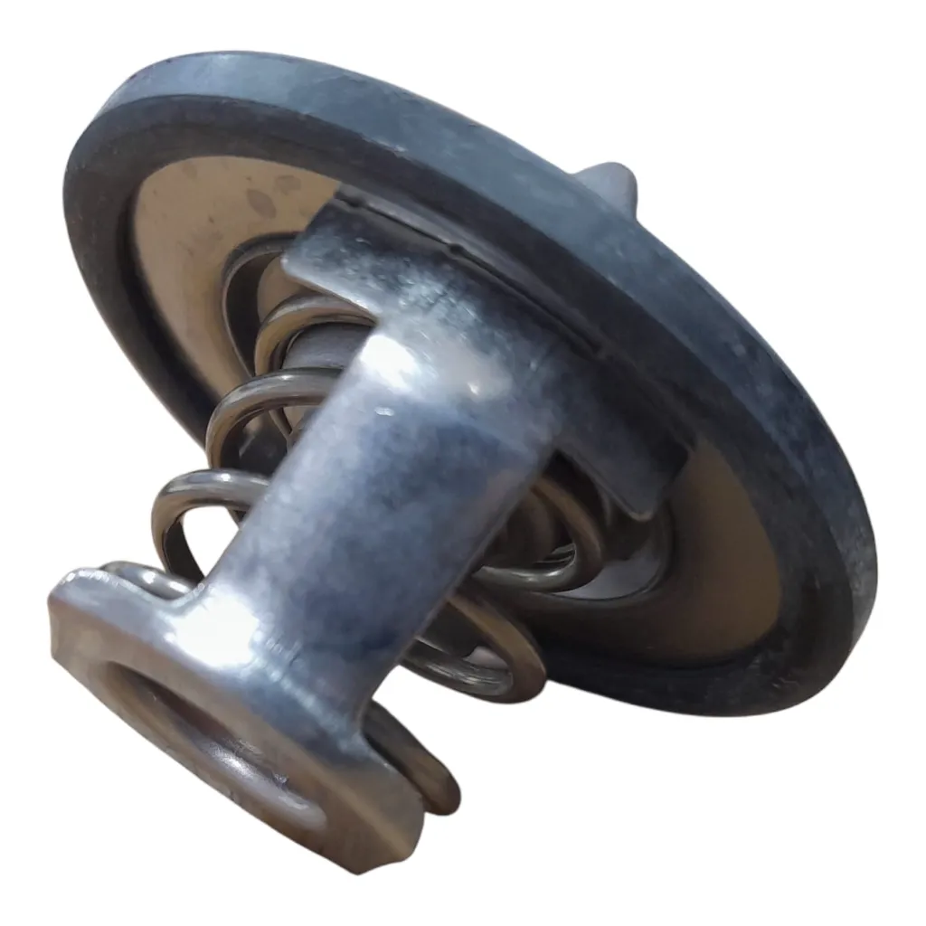 Thermostat with Gasket Logan 2010 [Tenda](made in China)(7700872554)