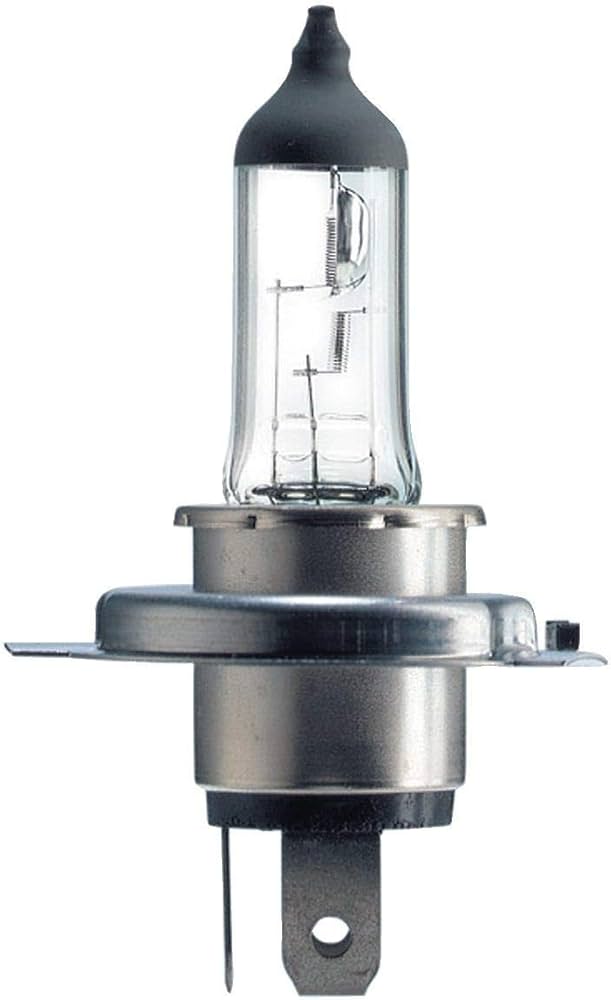 Lamp H4 12V 55W [Philips]