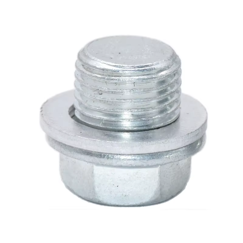 Plug for Oil Sump Verna- 