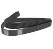 Belt 4PK900 (Made in Korea) //