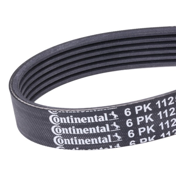 Belt 6PK1125 [Continental] //