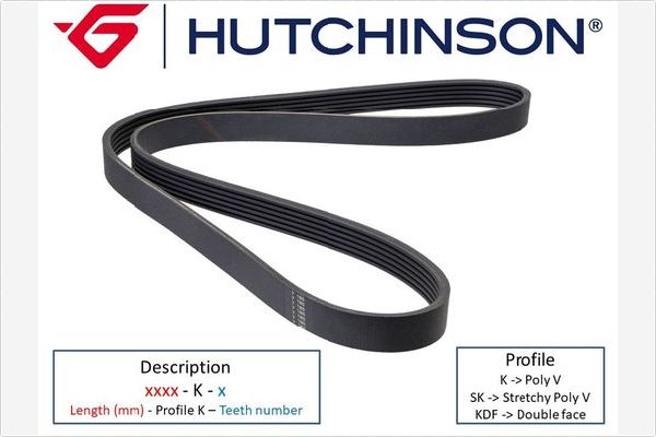 Belt 8PK2338 Mercedes Actros [Hutchinson] //