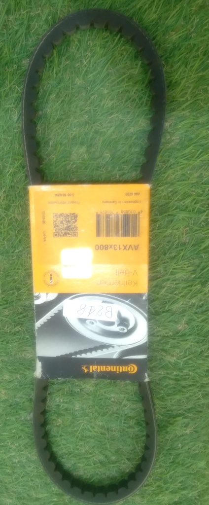 Belt AVX 13 X 800 [Continental] 