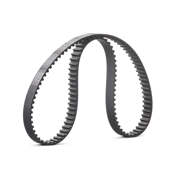 Belt 117 teeth for Avanzis (5403XS) [Gates] (made in EU)