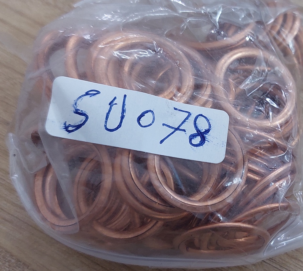 Crush Washer Renault/Peugeot (MADE IN CHINA)