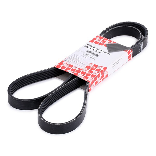 Belt 6PK1555 Cruze [FEBI](28952)(MADE IN GERMANY)
