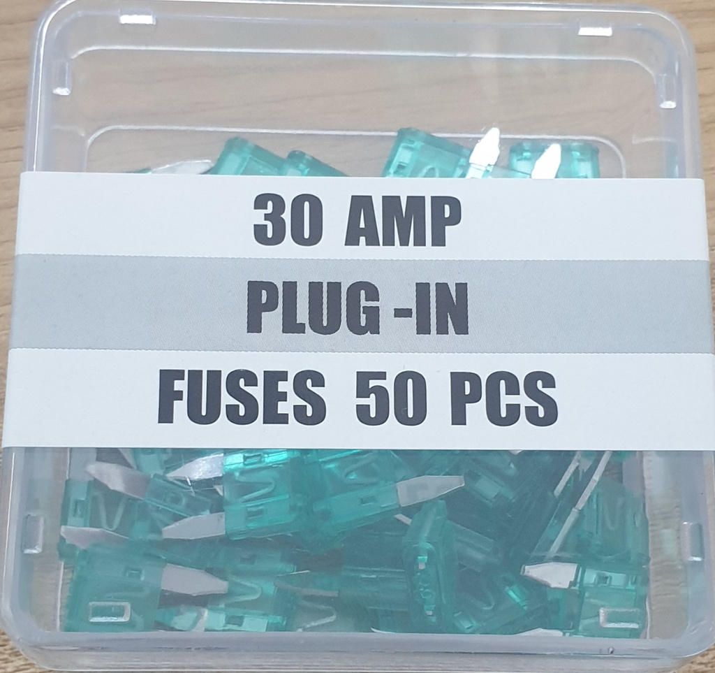 [E516] Fuse 30A small [MASA] (made in china) 