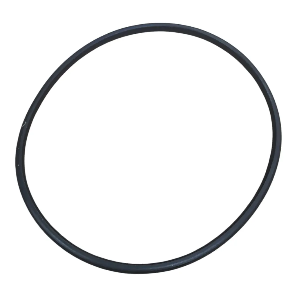 O-Ring for Fuel Pump Renault Logan