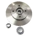 Brake Discs Rear with Bearing Peugeot 307 old models [LPR](made in Italy](C1005PCA)