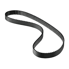 Belt 5PK975 (Made in Korea) //