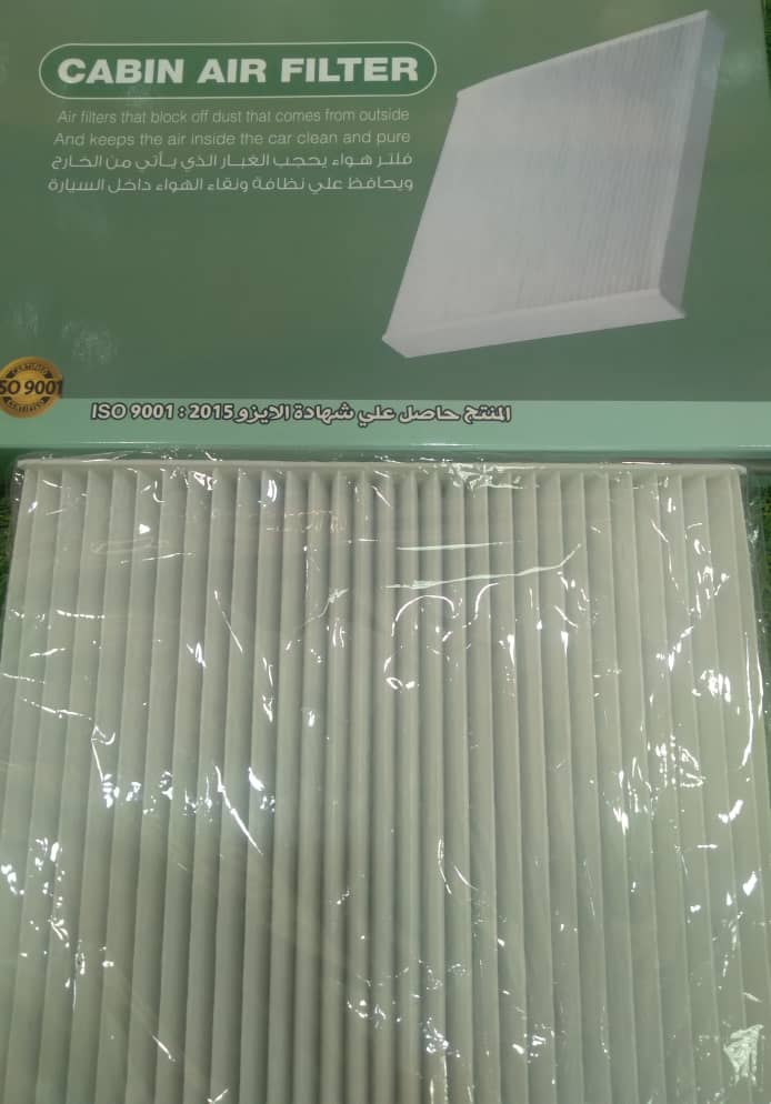 A/C Filter MG RX5 [MS] (Made in Egypt) (MGZS-MS)